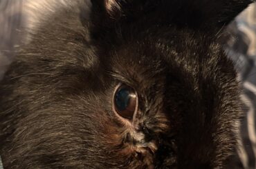 excessive eye boogers?