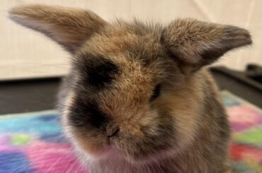 Name suggestions? 💕