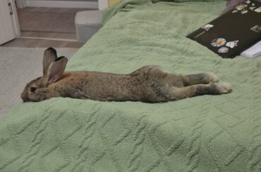 long and cute