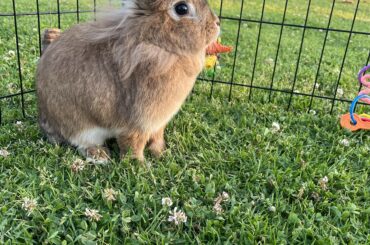 Send my baby prayers!