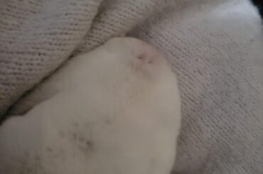 Any tips for bonding?