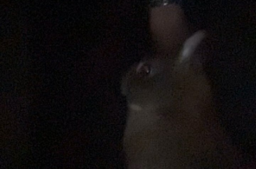 Gimme da pretzels!!!