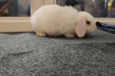 "That's how we roll"