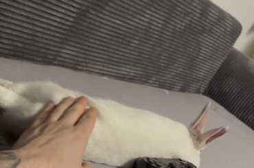 i can touch the butt now