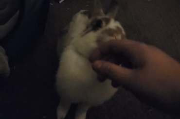 Is this good behaviour?