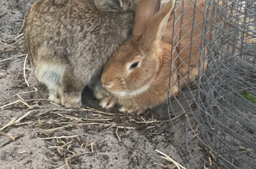 I have a wedding to plan.