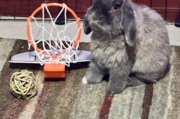 Learning to play basketball…