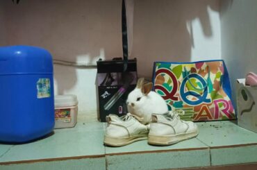 I didn't know I could be more comfortable in shoes than in my bed haha (I cleaned a while ago and it's already dirty again)