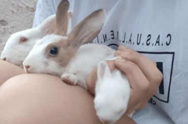 Me: “Let’s take a cute photo.” Them: “No.”