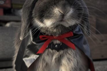 I'm the devil, are you scared? 😈(costume is from AI)