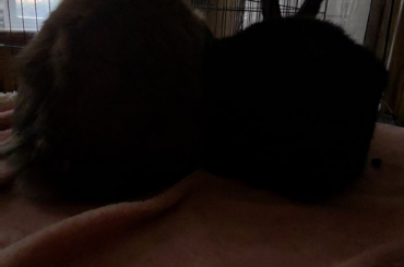 I touch the butts, living the dream