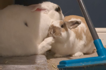 These little idiots 😭