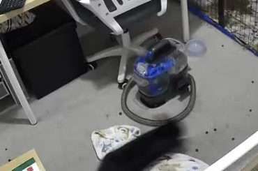 Crazy void zoomies