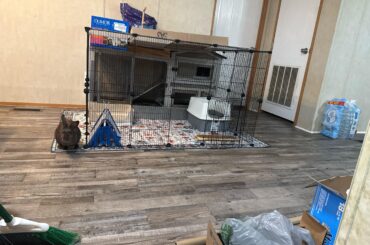 Hutch recommendations TIA