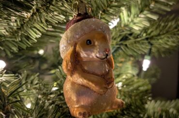 Share your fav bun ornament!