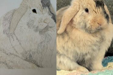 Friend of ours made a sketch of Waffle!