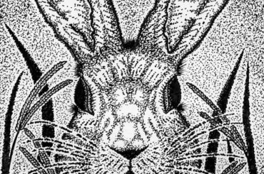 'The Lookout: Rabbit in the field' by black ink on paper, by me.
