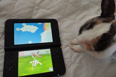 She is jealous of my Floette