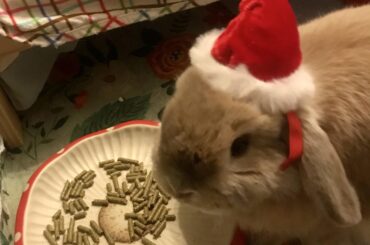 I couldn’t resist this little hat