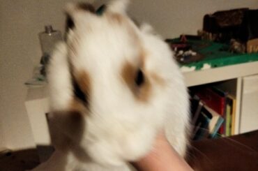 He didn't like the camera though :(