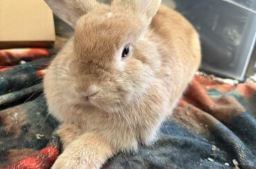 Willow looks raw as hell here