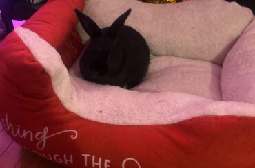 His first Christmas!!!!🎁