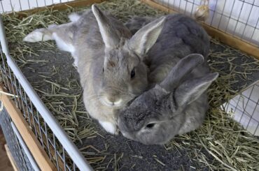 Old married couple snuggling