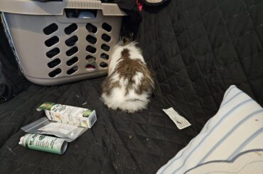 Scarlett's reaction to medicine time