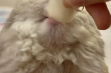 Do you see something wrong with is chin ?