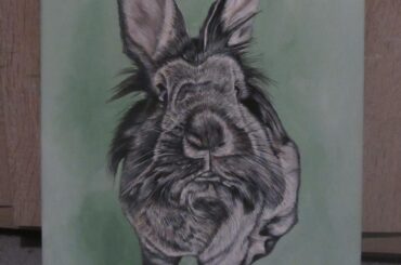 I’m a pet artist - sharing my latest completed painting! Acrylic on canvas. Feedback welcome