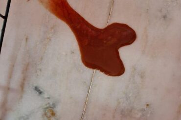 Bunny bleeding since morning