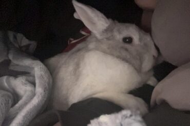 late night cuddles before bed :))