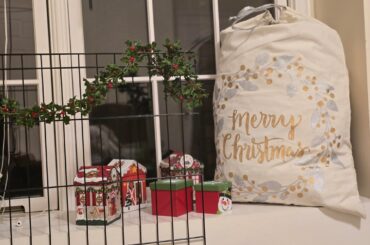 Happy Holidays Girls!