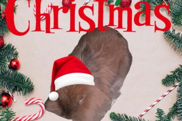 Tis the Season!