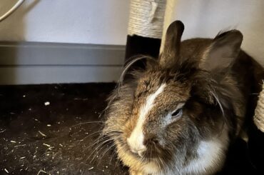 Wish us luck at the vet