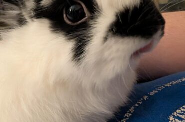 my son is a little chopped but it's okay