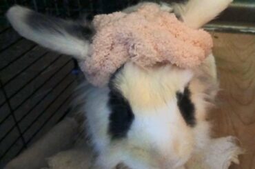 "Yes, of course I know I'm fashionable!"