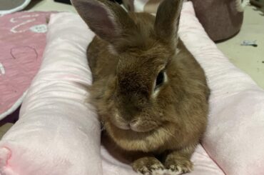 Send good wishes to my girl