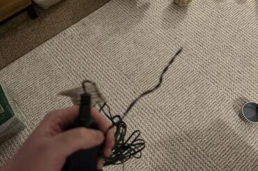 Hay? No. Nuggies? Nah. Veggies? Ew. Christmas tree lights? Tasty.