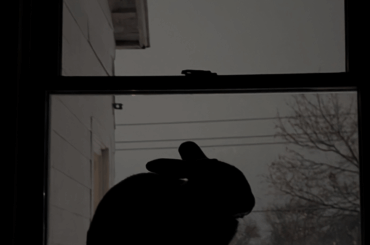 I wonder what he thinks about while staring out that window...