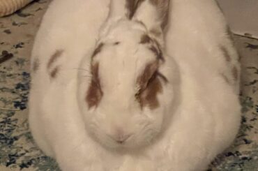 Please rate this Orb