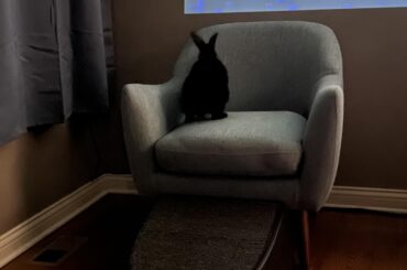 Watching TV with the gang