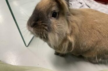 Show me your enclosures!