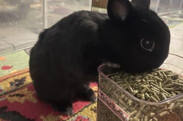 Her gluttony knows no bounds! 😆😆😆😆