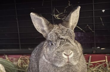 Anybody’s bun ever been on Keppra?