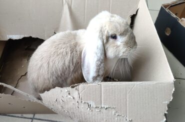 Lost my friend today
