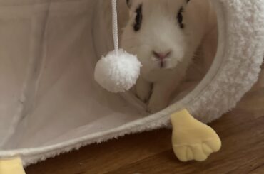 My best friend died