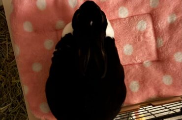 New loaf just dropped 🍞