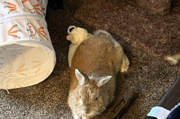 My 10-year-old boy and his Christmas present