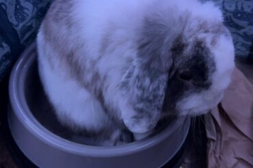 Ummm okayyy 🤣🤣